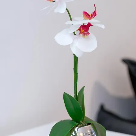 Exclusive Venice Lägenhet Szczecin